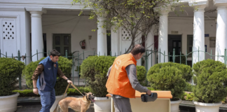 Delhi Police Track Down Mysuru Man Behind Month-Long Hoax Bomb Threat Spree