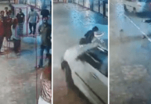 Tragedy in Indore: Woman Techie Run Over During Resident Protest Against Airbnb Penthouse