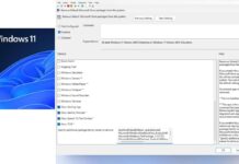 Windows 11 Canary Update: Global Power Controls & Snappier Settings