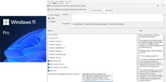 Windows 11 Canary Update: Global Power Controls & Snappier Settings