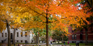 Harvard 2026: 6 Free Online Courses to Master AI, Python, and Data Science