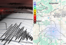 Ladakh Shaken by 4.1 Magnitude Earthquake, Epicentre in Leh: No Damage Reported