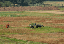 IMD Retains Monsoon Forecast: Expect Below-Normal Rain Across India as El Nino Threat Escalates