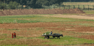 IMD Retains Monsoon Forecast: Expect Below-Normal Rain Across India as El Nino Threat Escalates