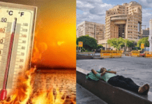 Delhi Weather Alert: Mercury to Hit 42°C After Brief Spell of Gusty Winds; Severe Heatwave Forecast for May 15-20