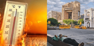 Delhi Weather Alert: Mercury to Hit 42°C After Brief Spell of Gusty Winds; Severe Heatwave Forecast for May 15-20