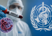 Ebola Virus Alert India: Andhra Pradesh Deploys Strict Airport Screening