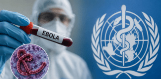Ebola Virus Alert India: Andhra Pradesh Deploys Strict Airport Screening