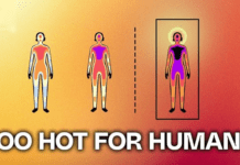 The Science of Survival: What Extreme Temperature and Humidity Levels Can the Human Body Actually Live Through?