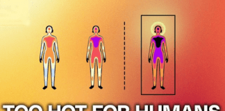 The Science of Survival: What Extreme Temperature and Humidity Levels Can the Human Body Actually Live Through?