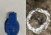 Punjab Police Arrest Two Suspected BKI Associates with Live Hand Grenades in Amritsar; Drone-Sourced Arms and Heroin Ring Smashed in Dual Operational Wins