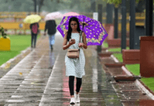 Storms and 60 km/h Winds: Delhi-NCR Monsoon Timeline Revealed Amid Weekend Rain Relief