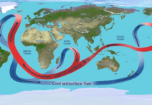 The Thermohaline Shutdown: Mapping the AMOC Collapse Indian Monsoon Freeze Europe Matrix