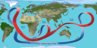 The Thermohaline Shutdown: Mapping the AMOC Collapse Indian Monsoon Freeze Europe Matrix