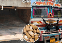 Hidden in the Frame: How DRI Exposed a Secret Truck Cavity Packed with 522 kg of Ganja