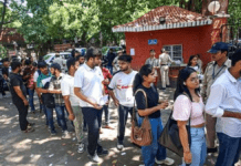 Selection Rosters Live: Verified Steps to Check REET Mains Level 1 Result 2026