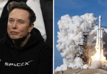 SpaceX Overtakes Amazon as World’s 5th Most Valuable Company After Historic IPO Surge